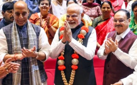 कौन हो सकता है उपराष्ट्रपति पद का उम्मीदवार? NDA की बैठक में हो गया बड़ा फैसला