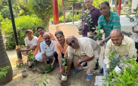 कानपुर: विश्व पर्यावरण दिवस पर एक पौधा माँ के नाम