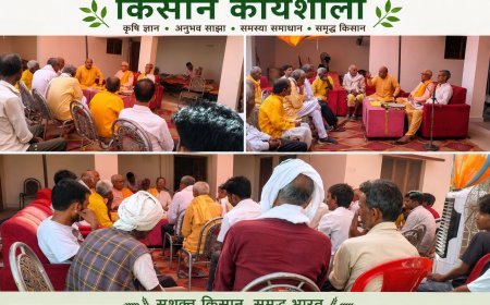 बलरामपुर: पचपेड़वा के बैरिहवा में आयोजित की गई कृषि सुधार कार्यशाला