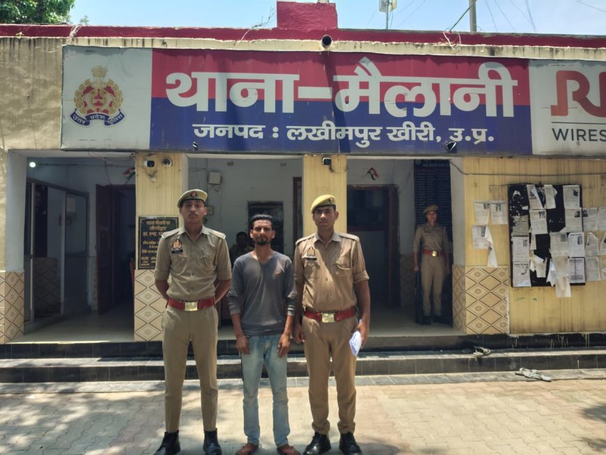 देश और प्रधानमंत्री के खिलाफ आपत्तिजनक टिप्पणी करने के आरोप में युवक गिरफ्तार, जेल भेजा गया