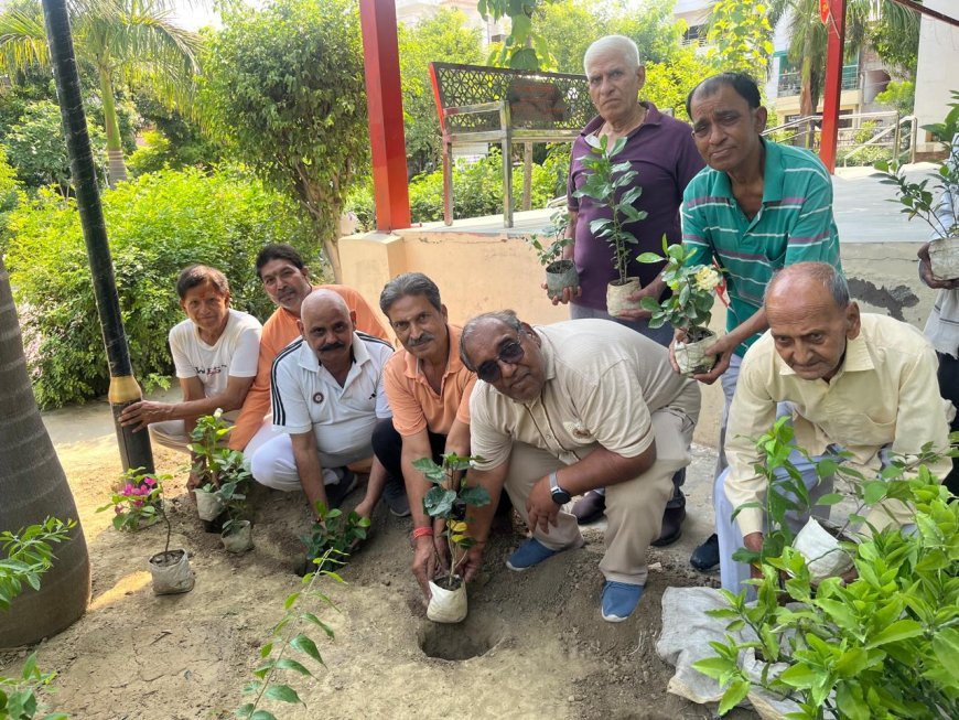 कानपुर: विश्व पर्यावरण दिवस पर एक पौधा माँ के नाम