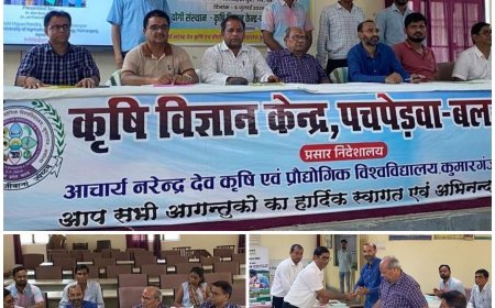 बलरामपुर: पंतनगर विश्वविद्यालय की विशेषज्ञ टीम ने कृषि विज्ञान केंद्र पचपेड़वा का निरीक्षण किया