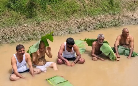 सिंचाई के पानी को लेकर भड़के किसान, नहर में उतरकर किया जल सत्याग्रह
