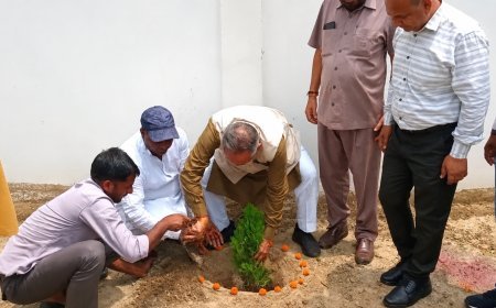 गुरु पूर्णिमा पर सरस्वती शिक्षा सदन में हुआ पौधारोपण, पौधे लगाकर दिया पर्यावरण संरक्षण का संदेश
