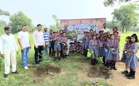 भूमि को फिर से हराभरा बनाने की अनूठी पहल : पीएम श्री केंद्रीय विद्यालय नाहरा में 'मेरी गुठली मेरा पौधा अभियान' का शुभारंभ* 