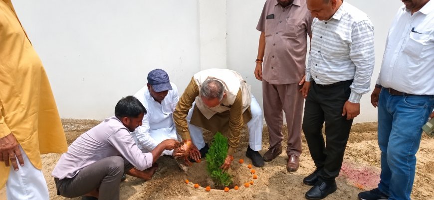 गुरु पूर्णिमा पर सरस्वती शिक्षा सदन में हुआ पौधारोपण, पौधे लगाकर दिया पर्यावरण संरक्षण का संदेश